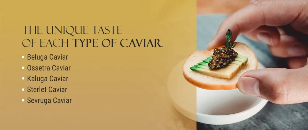 Various types of caviar are arranged to show what does caviar taste like by variety