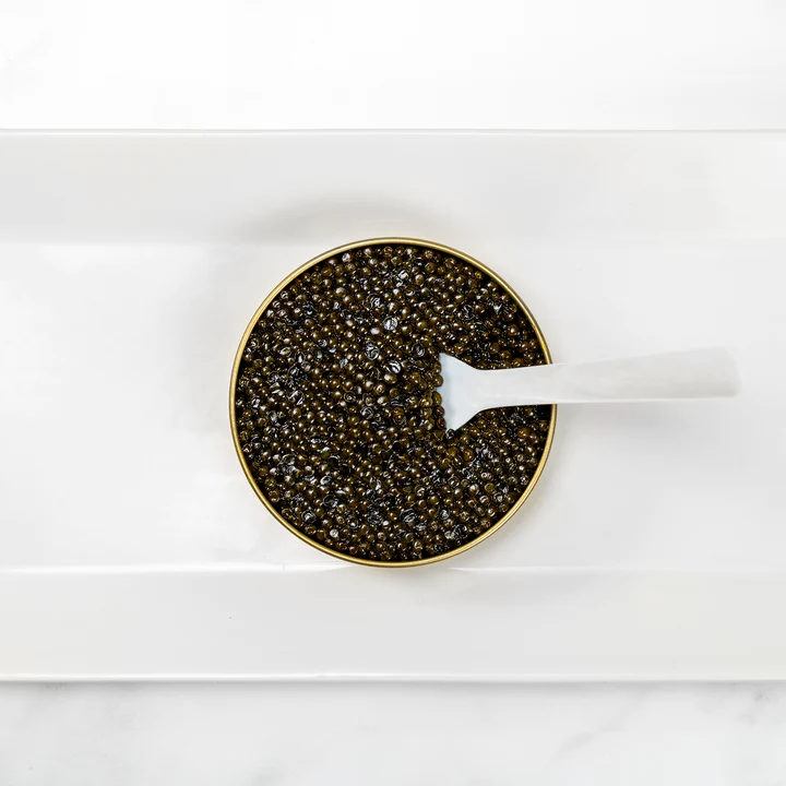 Beluga caviar | Unveiling the Secrets of Huso Huso, and Hybrid Sturgeon Caviar