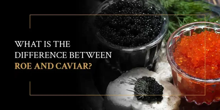 caviar and fish roe