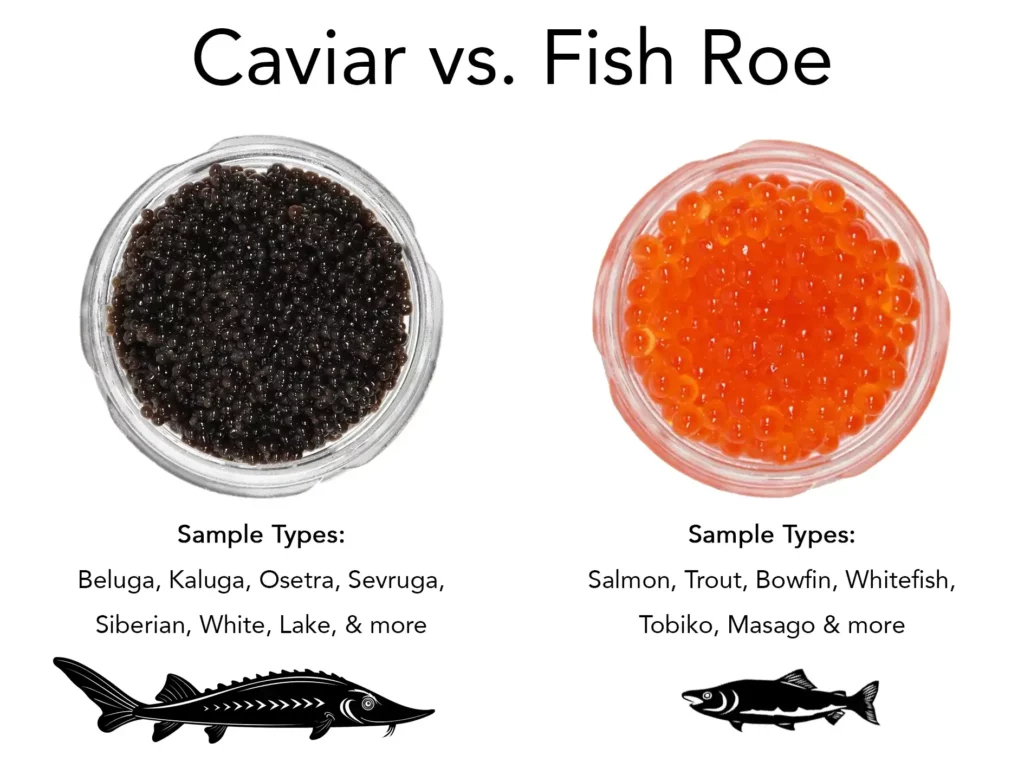 Is Caviar Fish Eggs